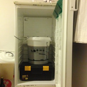 Beer in fermentation chamber.