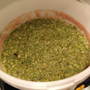 Dry hopping a beer with Jester hops